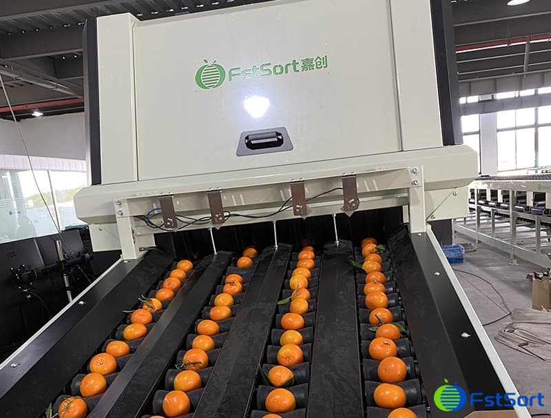 images/1686037915683citrus color weight grader.jpg